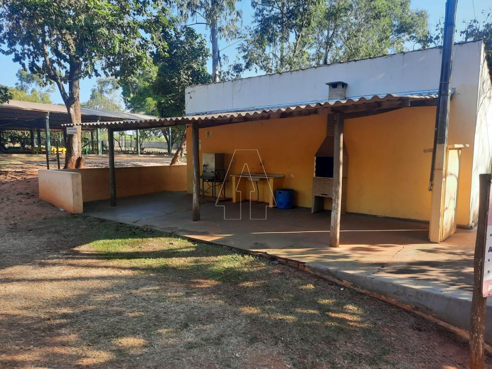 Alugar Rural / Rancho Condomínio em Araçatuba R$ 1.100,00 - Foto 17