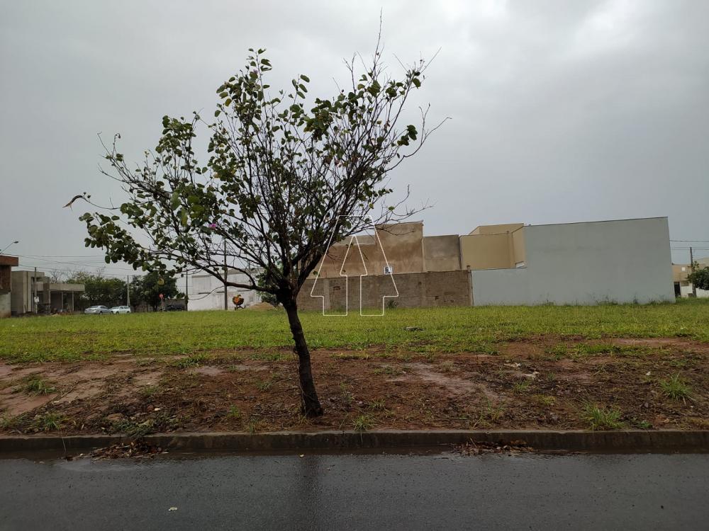 Comprar Terreno / Condomínio em Araçatuba R$ 165.000,00 - Foto 2