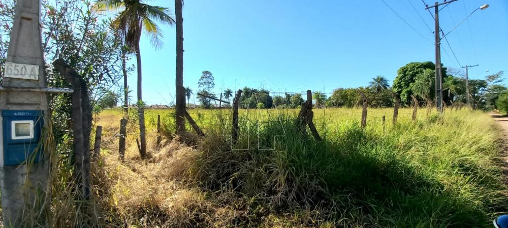 Comprar Terreno / Área em Araçatuba R$ 210.000,00 - Foto 4