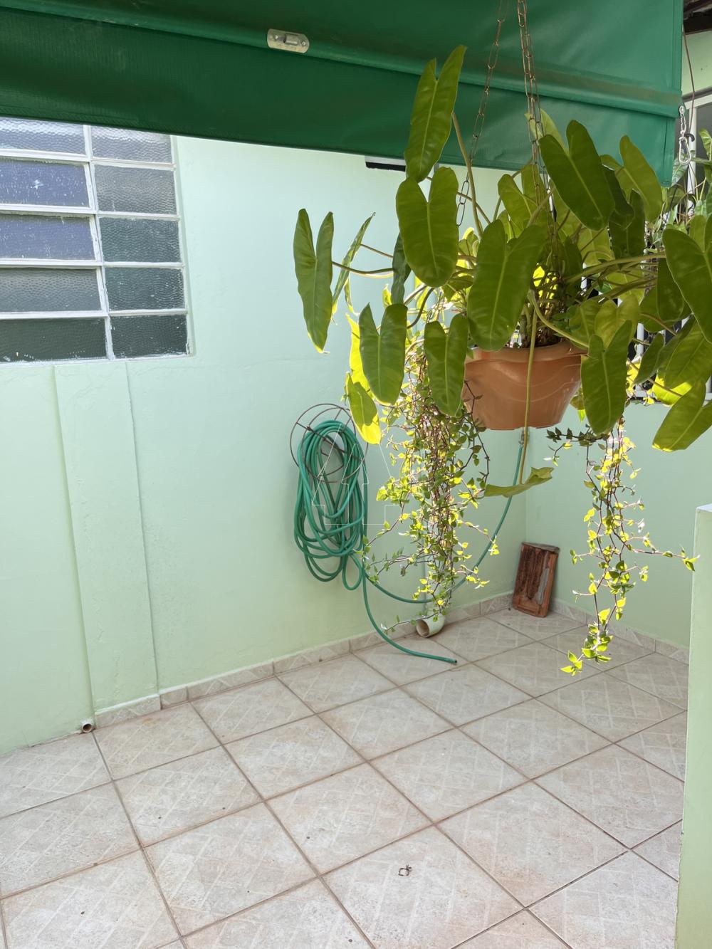 Comprar Casa / Residencial em Araçatuba R$ 340.000,00 - Foto 17