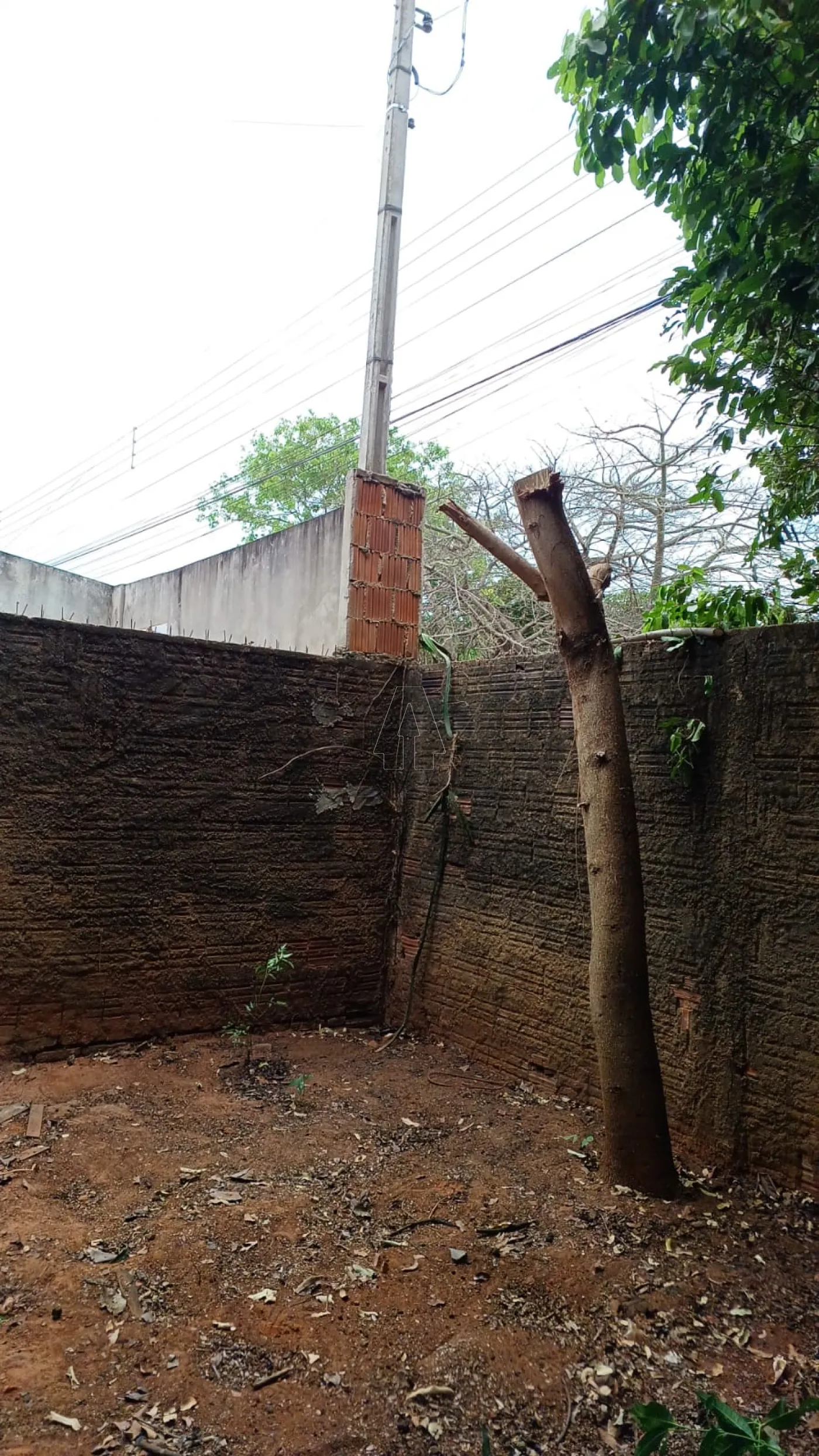 Comprar Terreno / Padrão em Araçatuba R$ 100.000,00 - Foto 4