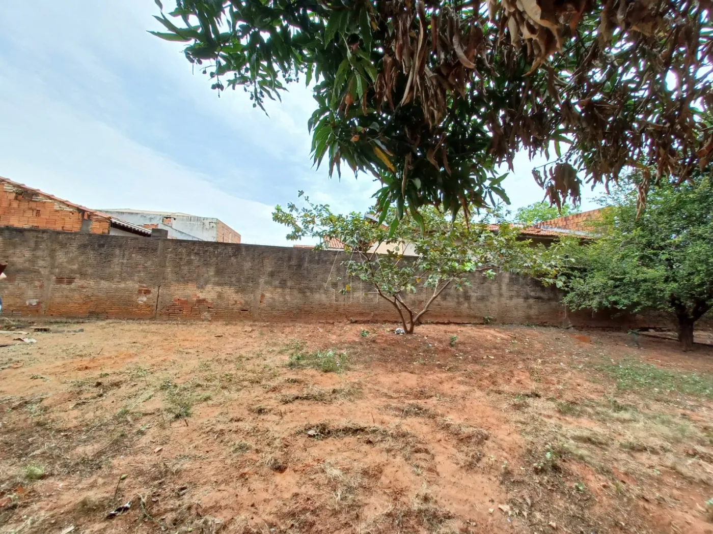 Comprar Terreno / Padrão em Araçatuba R$ 100.000,00 - Foto 3