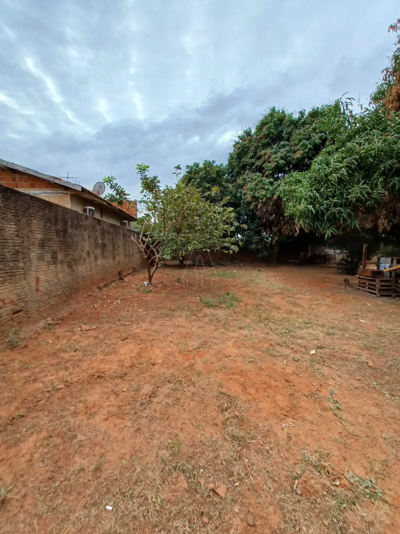 Comprar Terreno / Padrão em Araçatuba R$ 100.000,00 - Foto 2