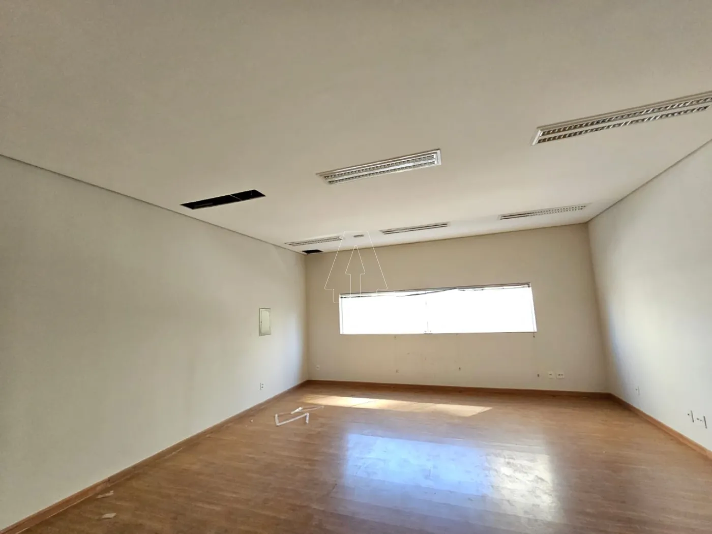 Alugar Comercial / Sala em Araçatuba R$ 2.300,00 - Foto 3