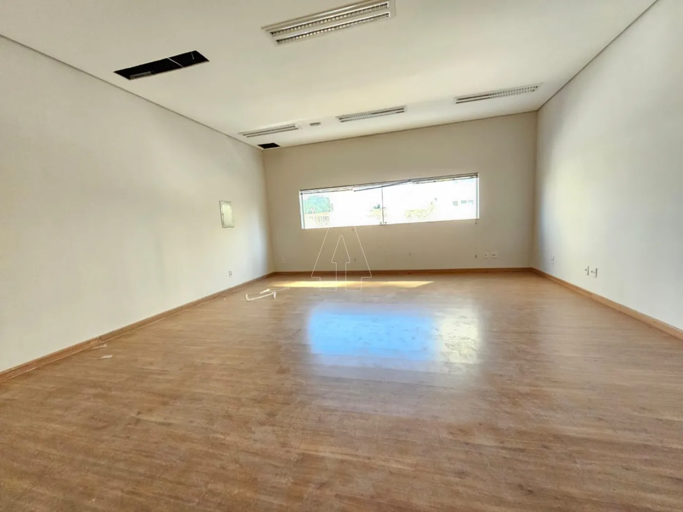 Alugar Comercial / Sala em Araçatuba R$ 2.300,00 - Foto 5