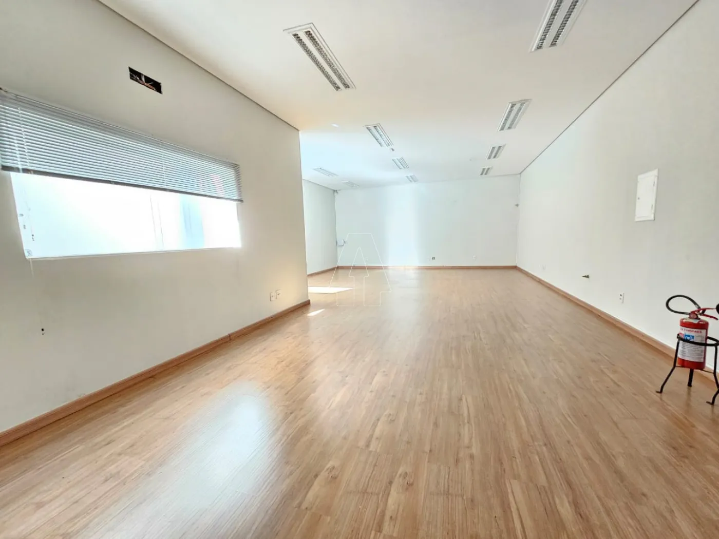 Alugar Comercial / Sala em Araçatuba R$ 2.900,00 - Foto 5