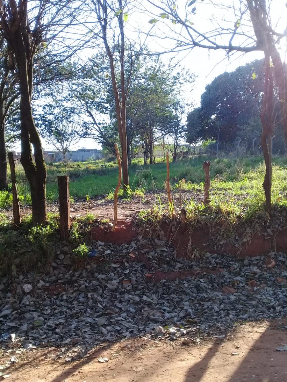 Comprar Rural / Chácara em Araçatuba R$ 250.000,00 - Foto 1