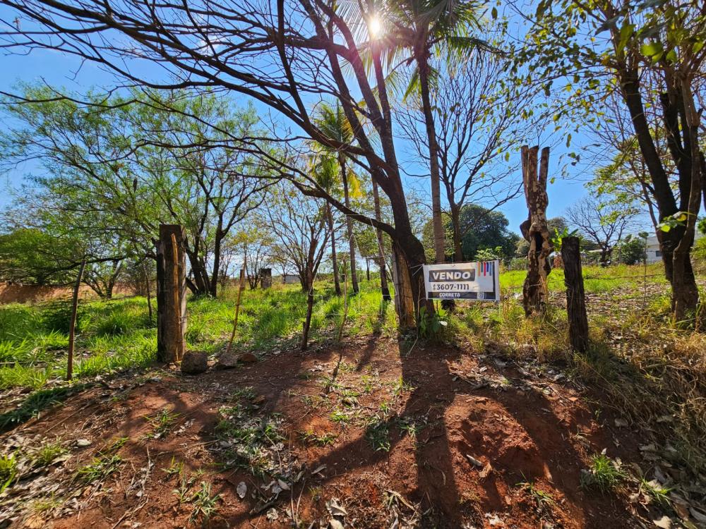 Comprar Rural / Chácara em Araçatuba R$ 250.000,00 - Foto 7