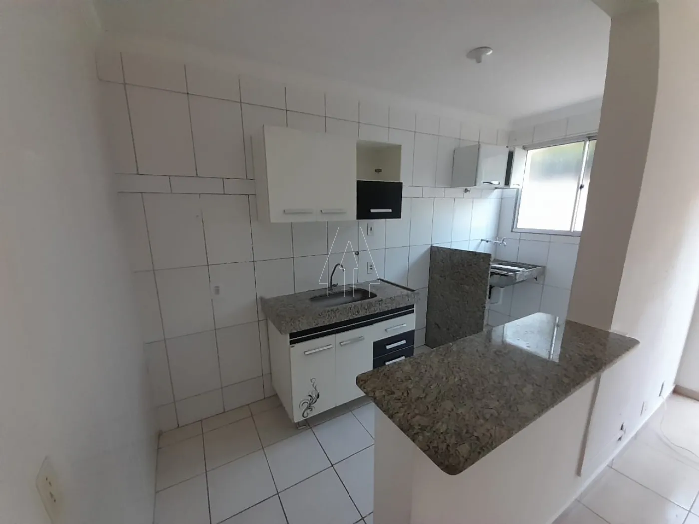 Alugar Apartamento / Padrão em Araçatuba R$ 850,00 - Foto 4