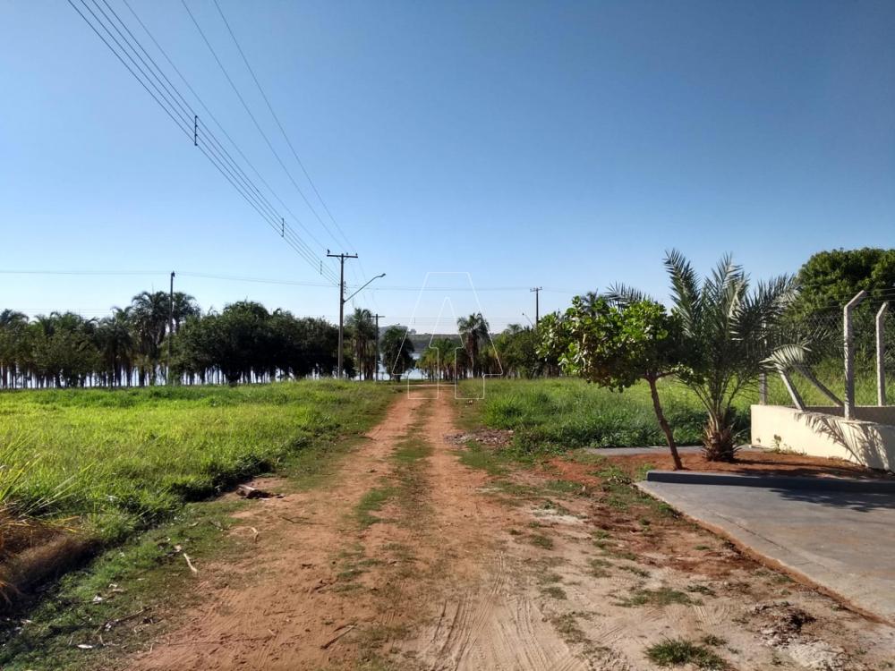 Comprar Rural / Rancho Condomínio em Santo Antônio do Aracanguá R$ 550.000,00 - Foto 34