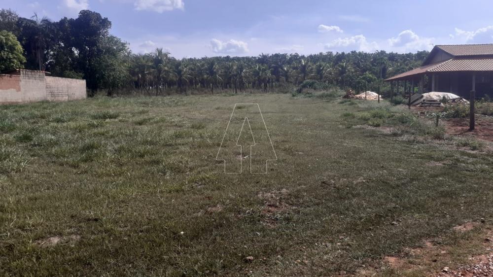 Comprar Terreno / Condomínio em Santo Antônio do Aracanguá R$ 90.000,00 - Foto 3