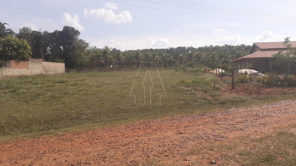 Comprar Terreno / Condomínio em Santo Antônio do Aracanguá R$ 90.000,00 - Foto 4