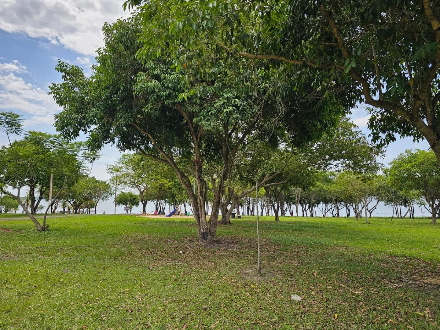 Comprar Rural / Rancho Condomínio em Araçatuba R$ 2.400.000,00 - Foto 27