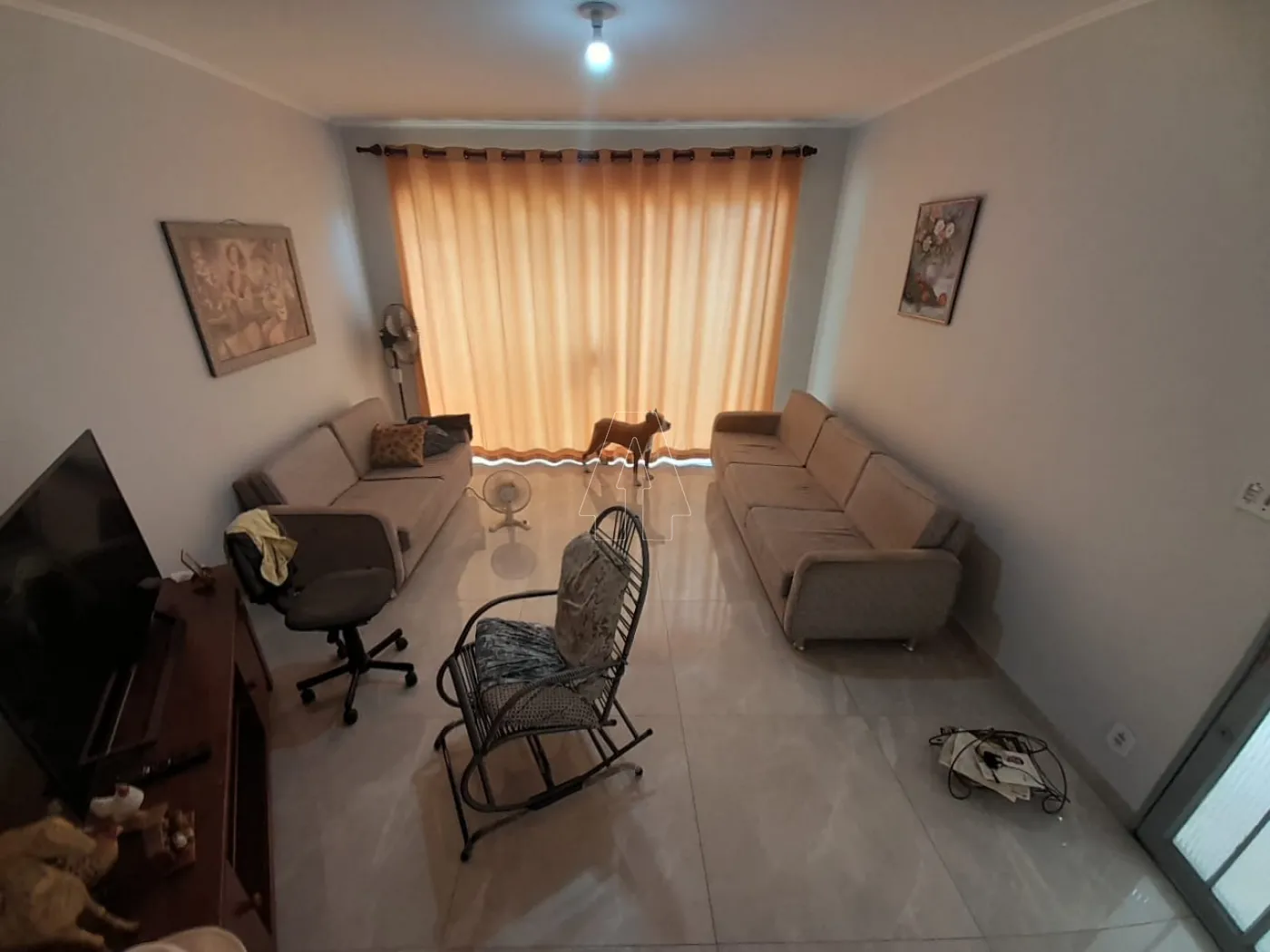 Alugar Comercial / Casa em Araçatuba R$ 2.500,00 - Foto 3