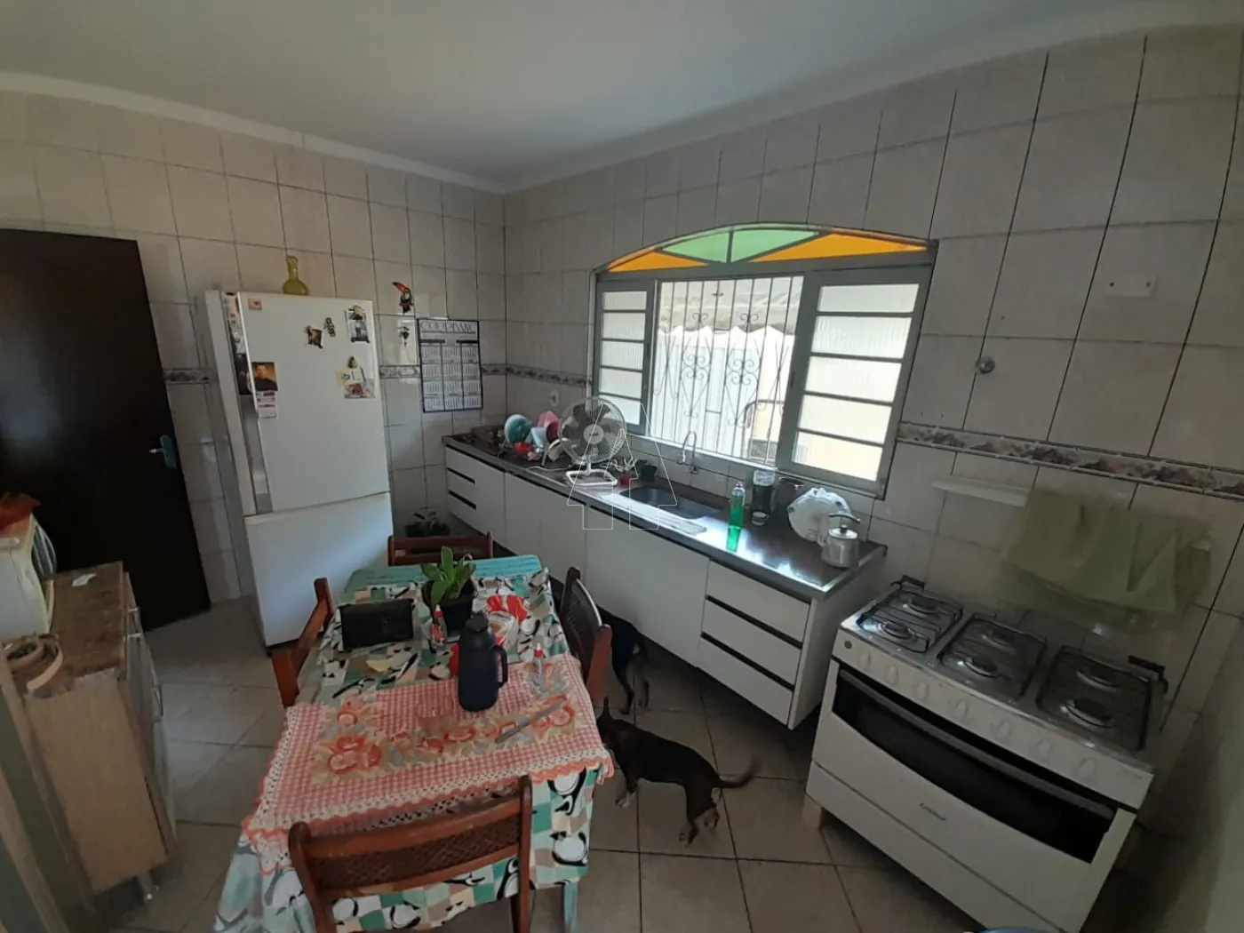 Alugar Comercial / Casa em Araçatuba R$ 2.500,00 - Foto 9