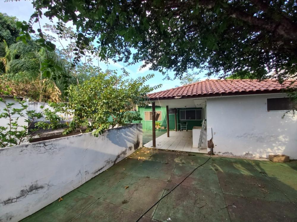 Comprar Casa / Residencial em Araçatuba R$ 260.000,00 - Foto 11