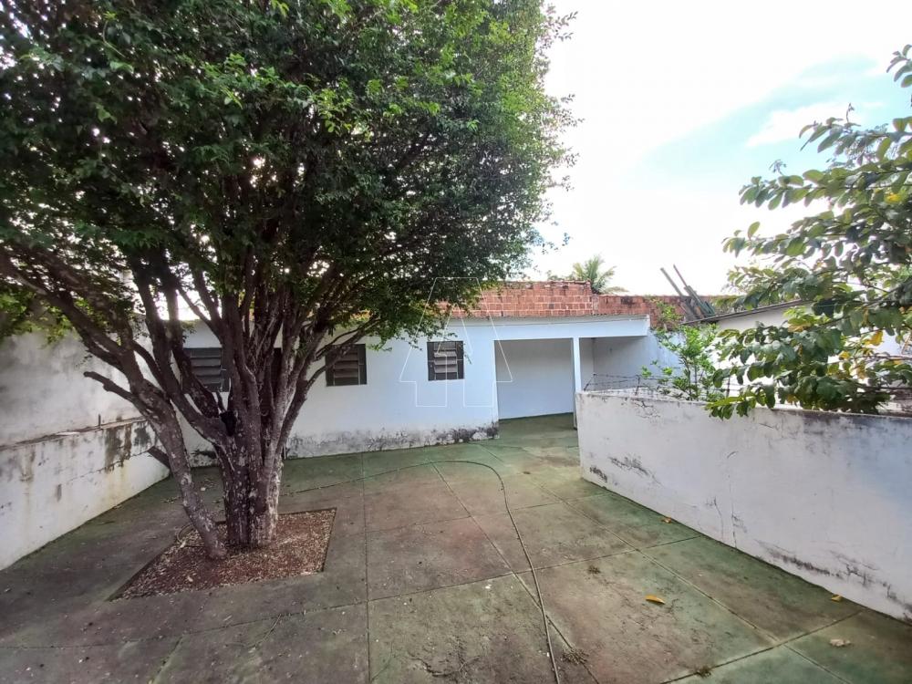 Comprar Casa / Residencial em Araçatuba R$ 260.000,00 - Foto 12