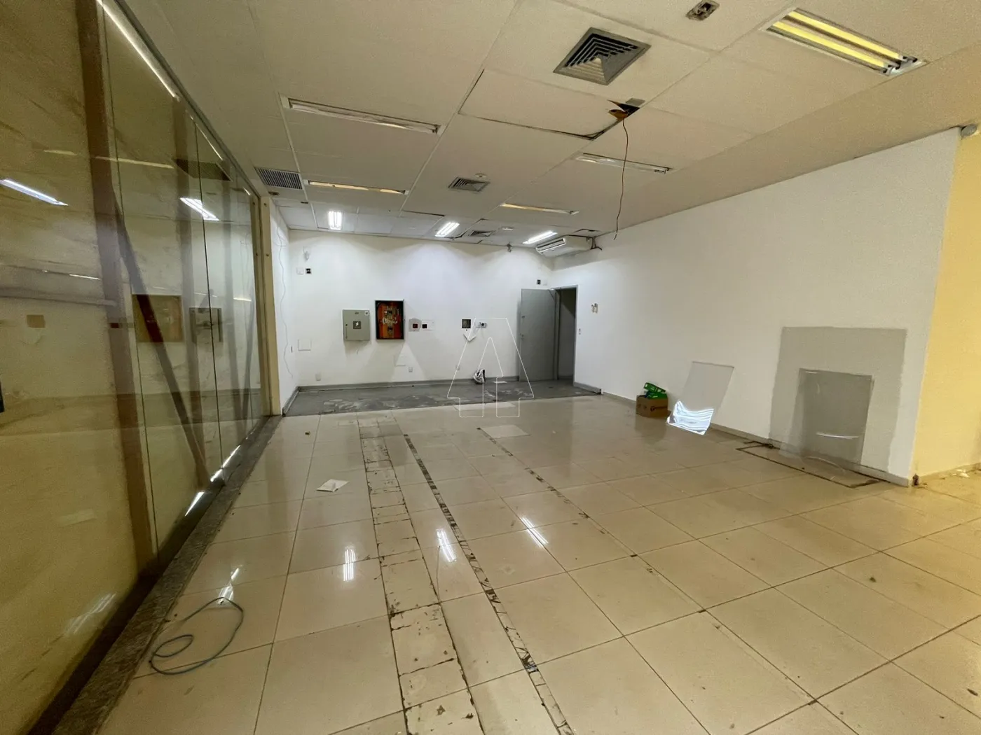 Alugar Comercial / Salão em Araçatuba R$ 12.500,00 - Foto 3