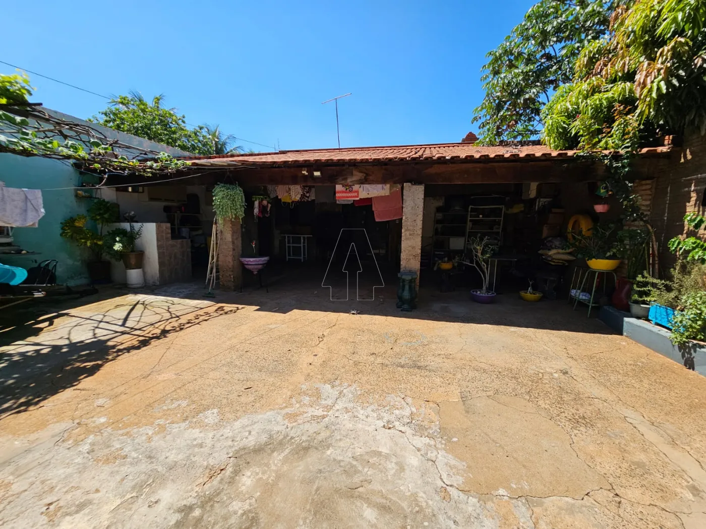 Comprar Casa / Residencial em Araçatuba R$ 260.000,00 - Foto 6