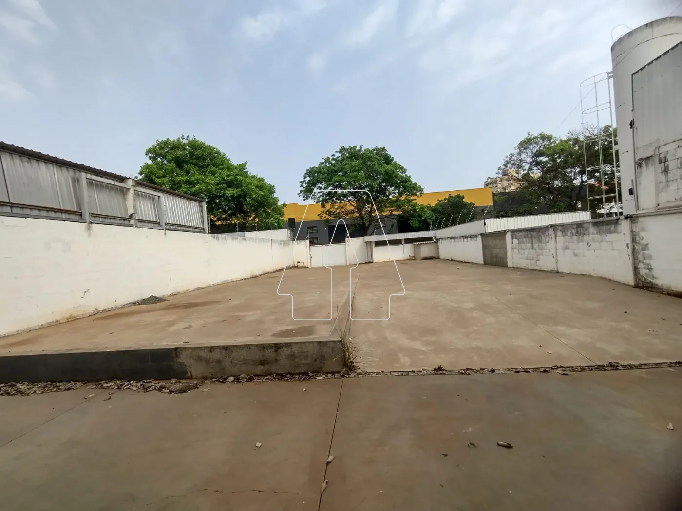 Alugar Comercial / Salão em Araçatuba R$ 16.000,00 - Foto 7