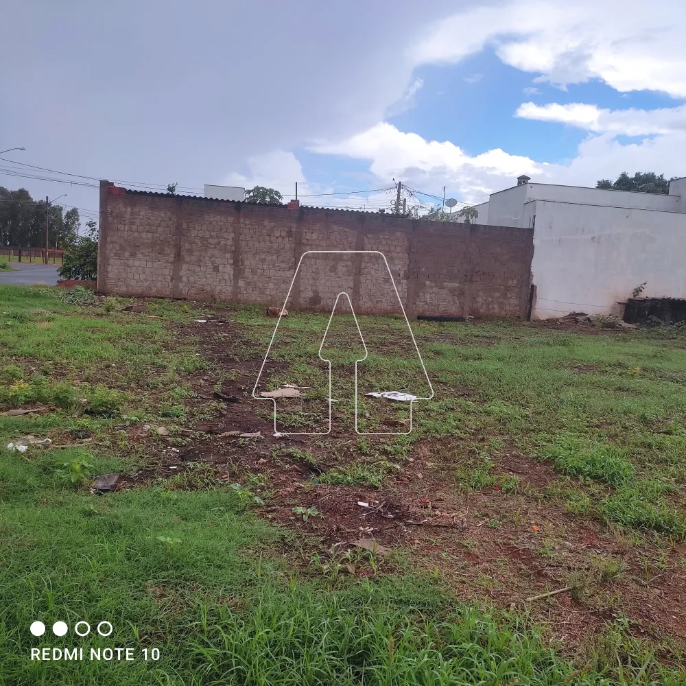 Comprar Terreno / Padrão em Araçatuba R$ 105.000,00 - Foto 1