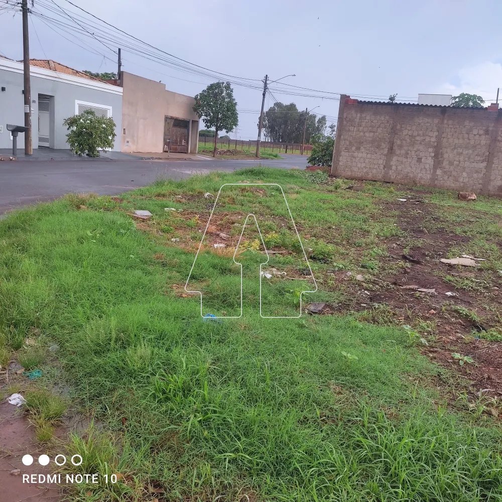 Comprar Terreno / Padrão em Araçatuba R$ 105.000,00 - Foto 2