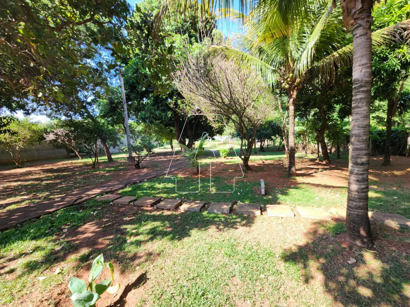 Comprar Rural / Chácara em Araçatuba R$ 1.500.000,00 - Foto 12