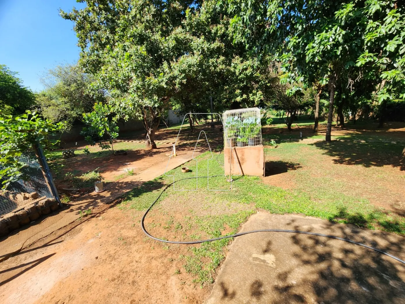 Comprar Rural / Chácara em Araçatuba R$ 1.500.000,00 - Foto 13