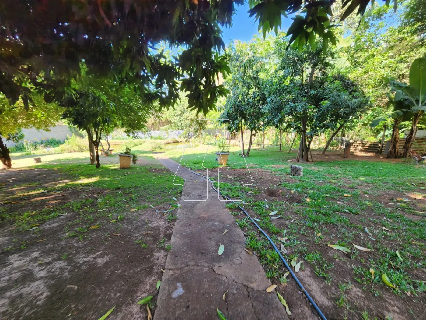 Comprar Rural / Chácara em Araçatuba R$ 1.500.000,00 - Foto 14