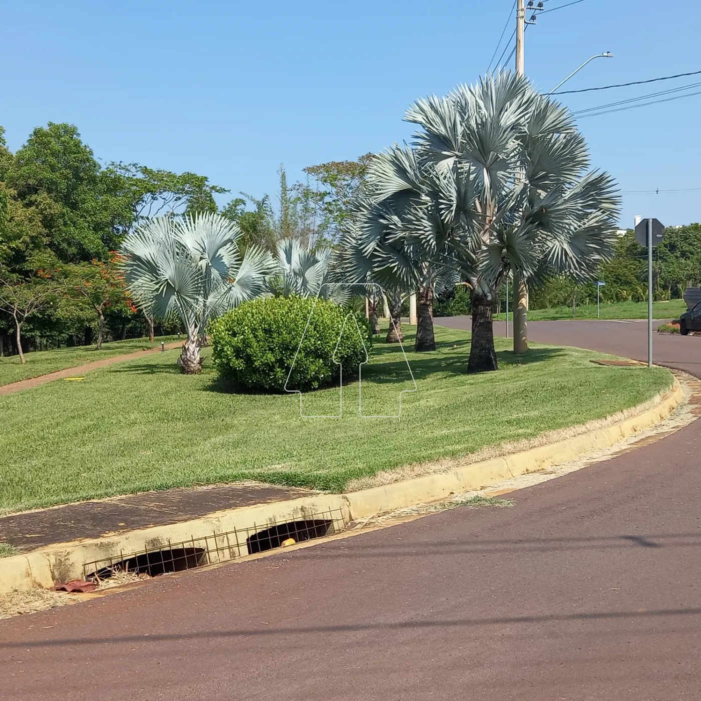 Alugar Casa / Condomínio em Araçatuba R$ 9.000,00 - Foto 45