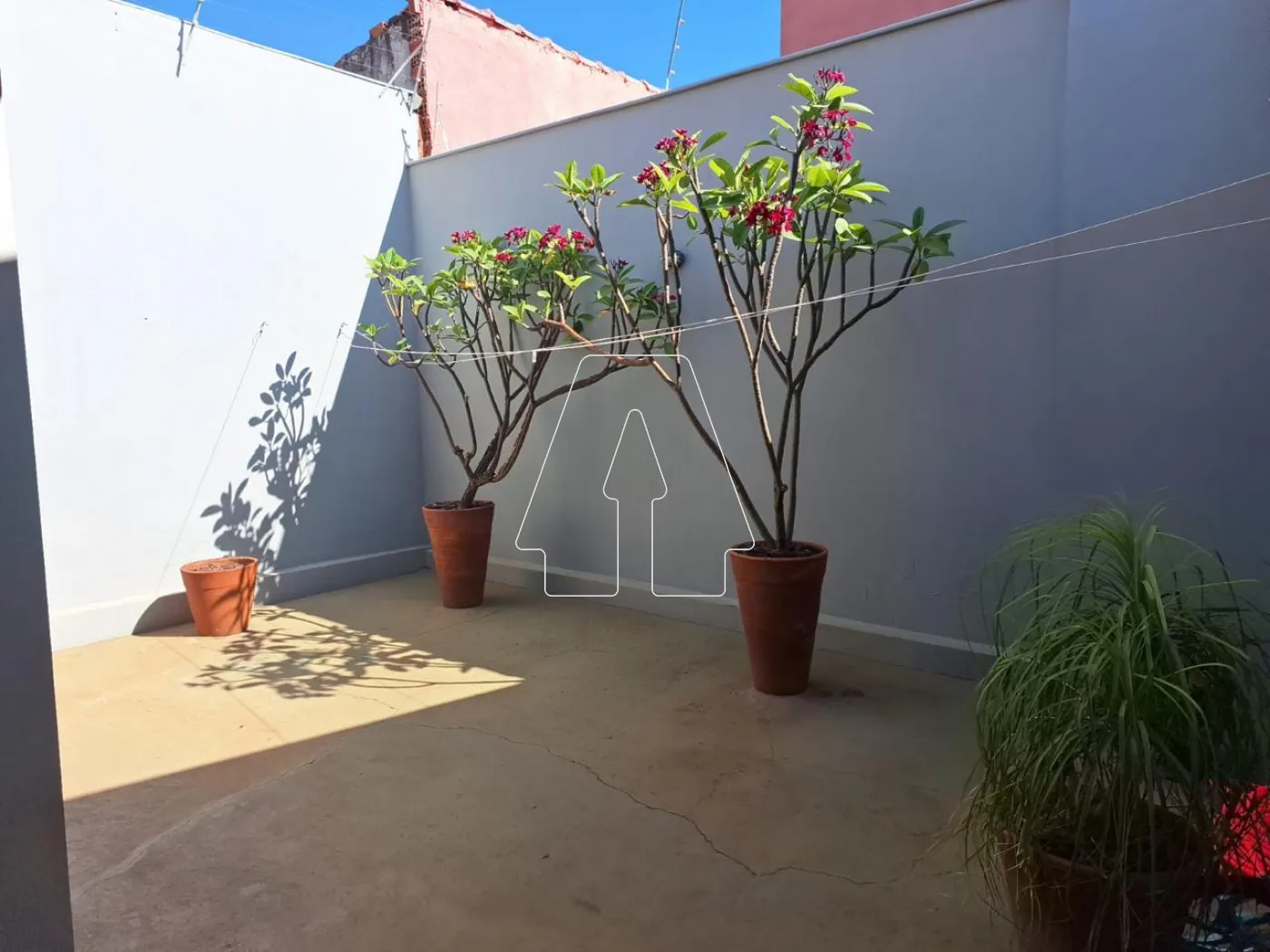 Comprar Casa / Residencial em Araçatuba R$ 550.000,00 - Foto 15