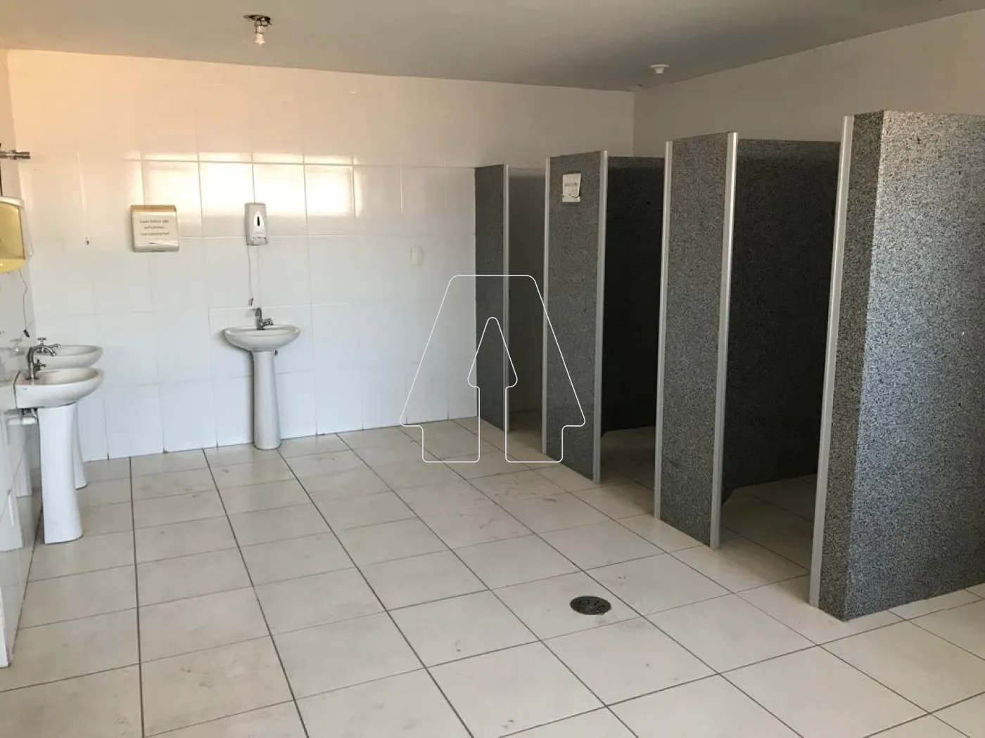 Alugar Comercial / Galpão em Araçatuba R$ 77.500,00 - Foto 14