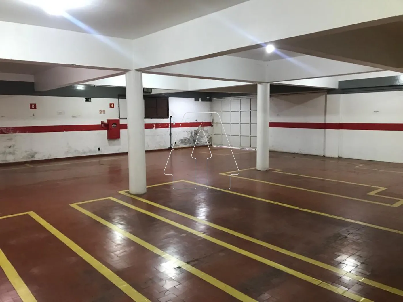 Alugar Comercial / Galpão em Araçatuba R$ 77.500,00 - Foto 5