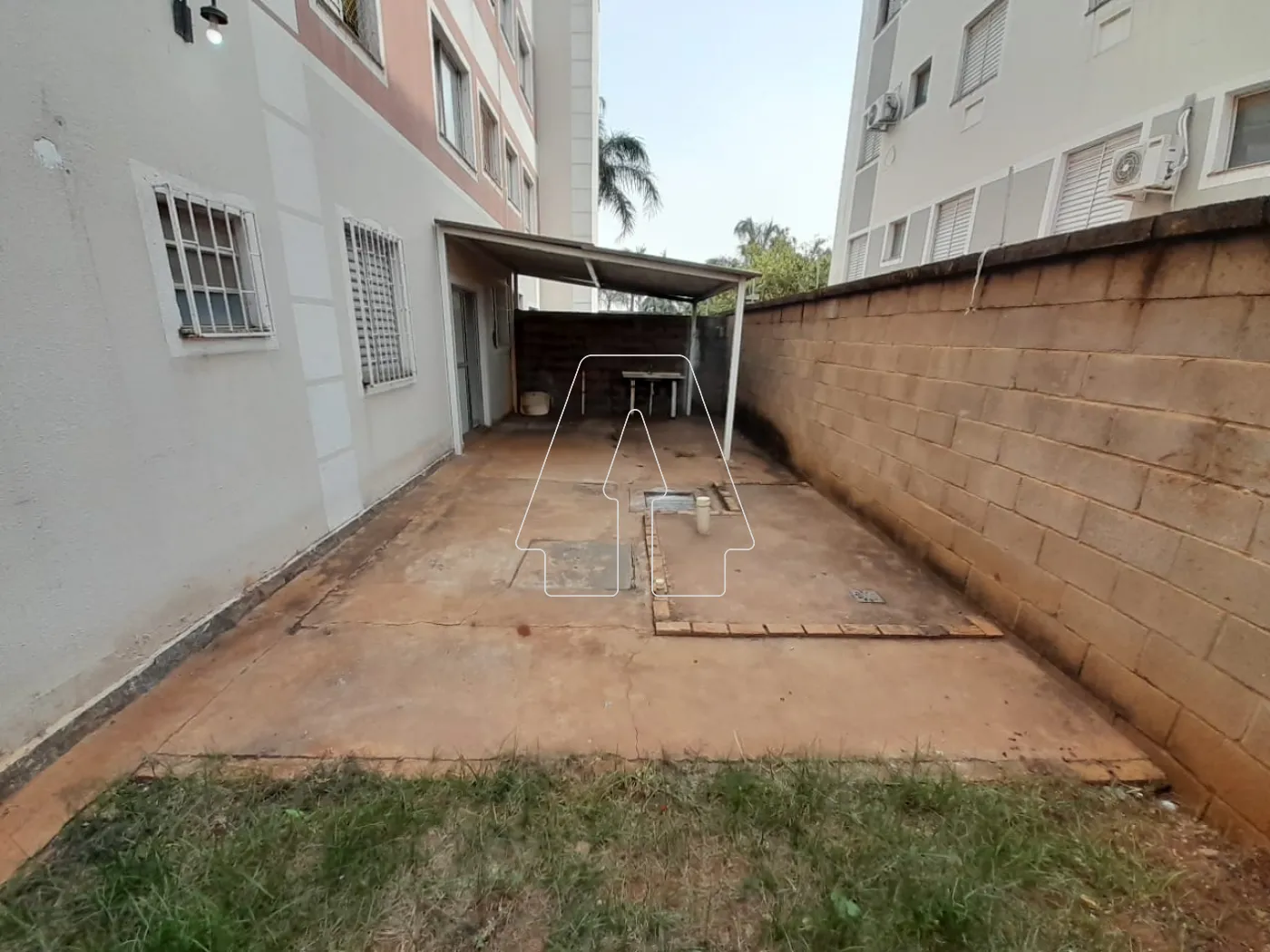 Alugar Apartamento / Padrão em Araçatuba R$ 825,00 - Foto 11