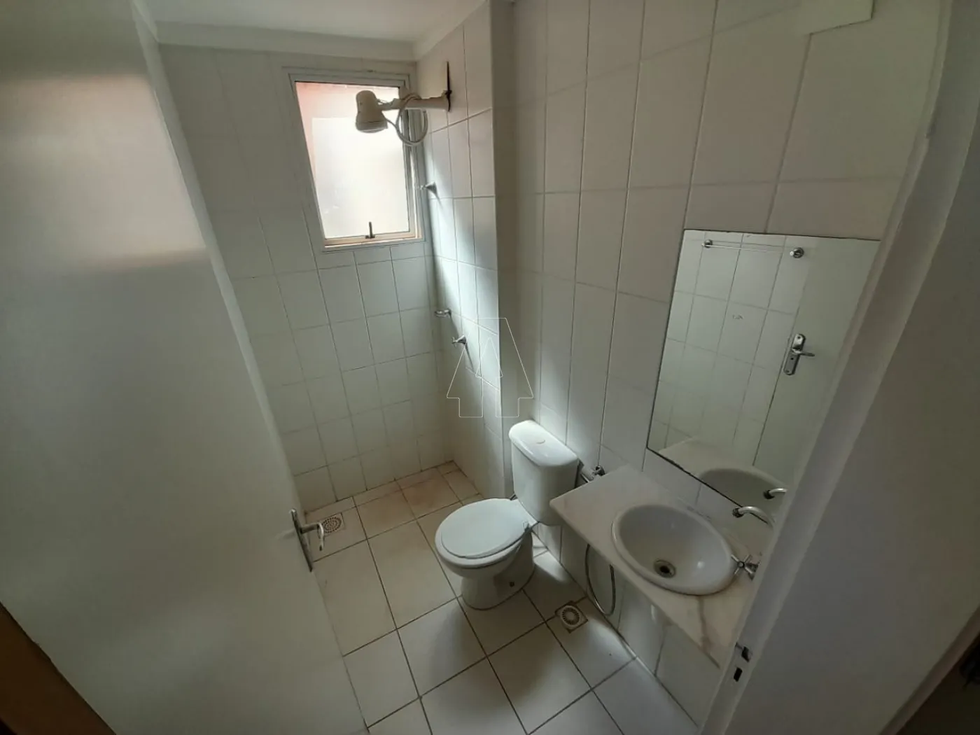 Alugar Apartamento / Padrão em Araçatuba R$ 900,00 - Foto 8