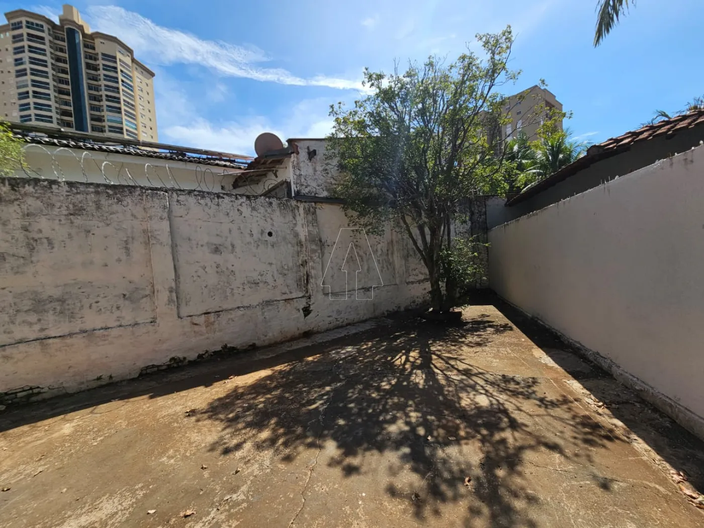 Alugar Casa / Residencial em Araçatuba R$ 1.800,00 - Foto 4