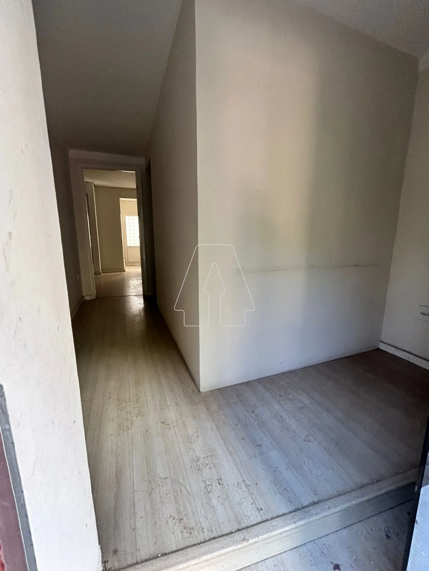 Alugar Comercial / Casa em Araçatuba R$ 2.300,00 - Foto 1