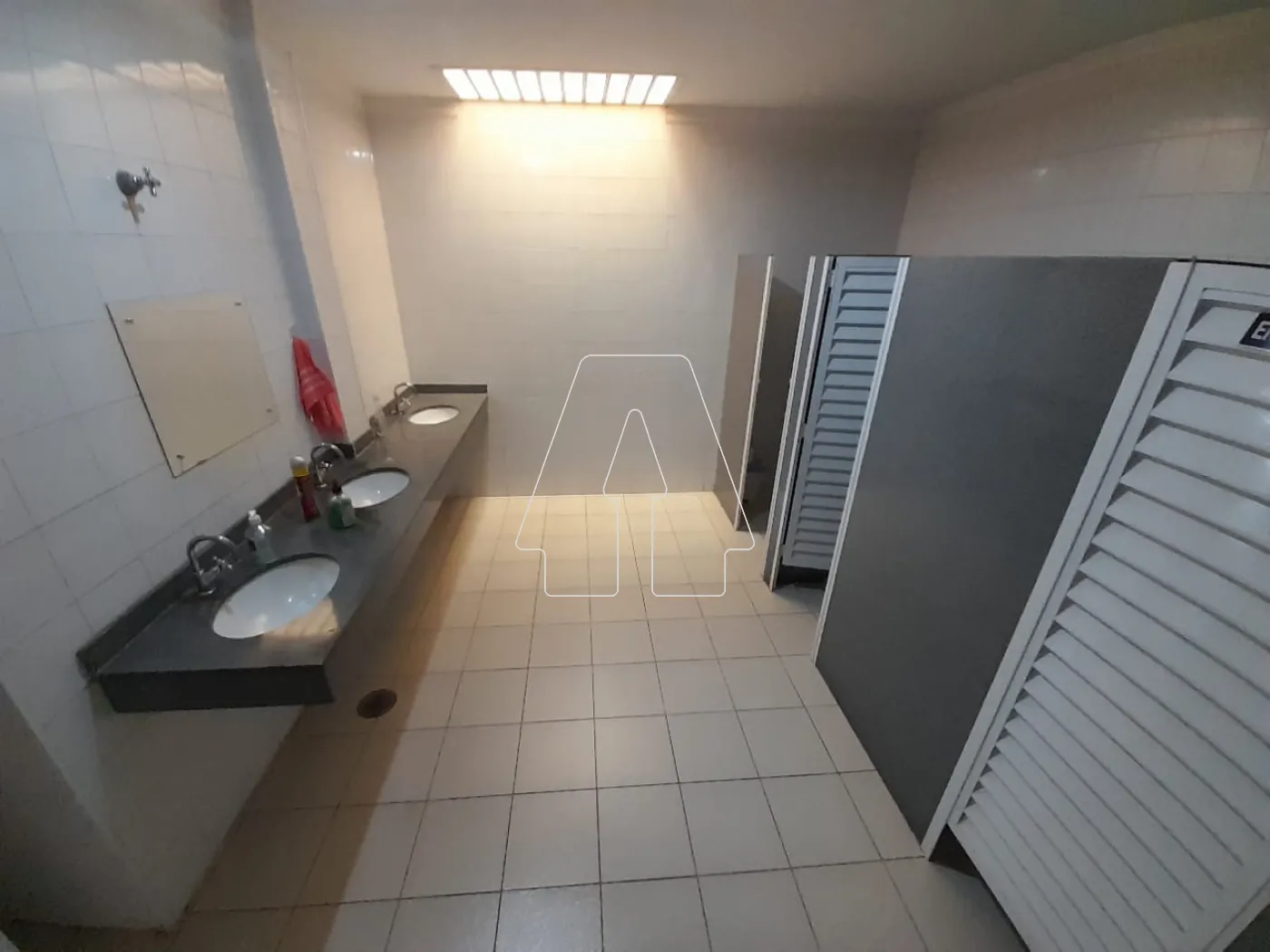 Alugar Comercial / Sala em Araçatuba R$ 800,00 - Foto 4