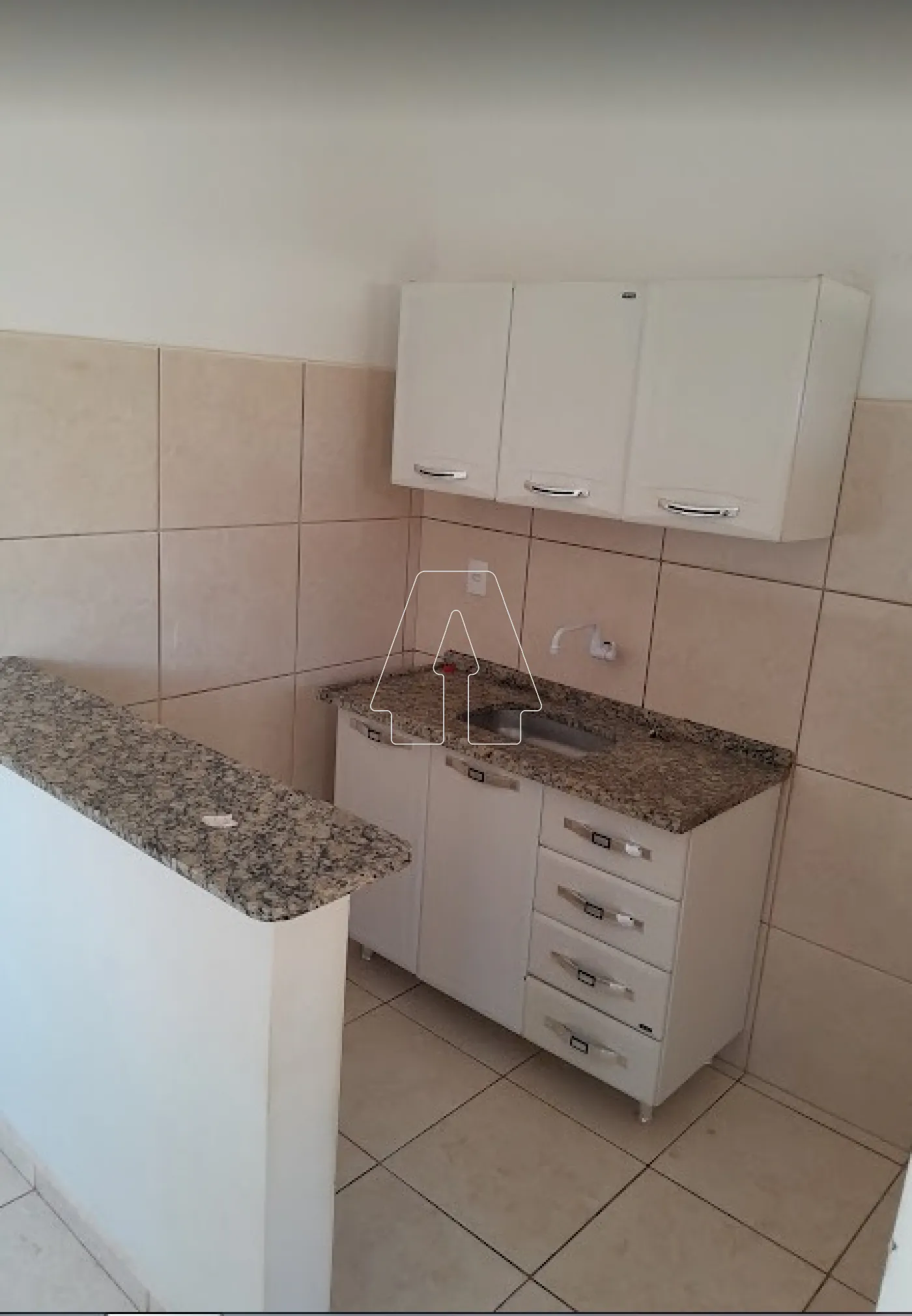 Alugar Casa / Residencial em Araçatuba R$ 750,00 - Foto 4