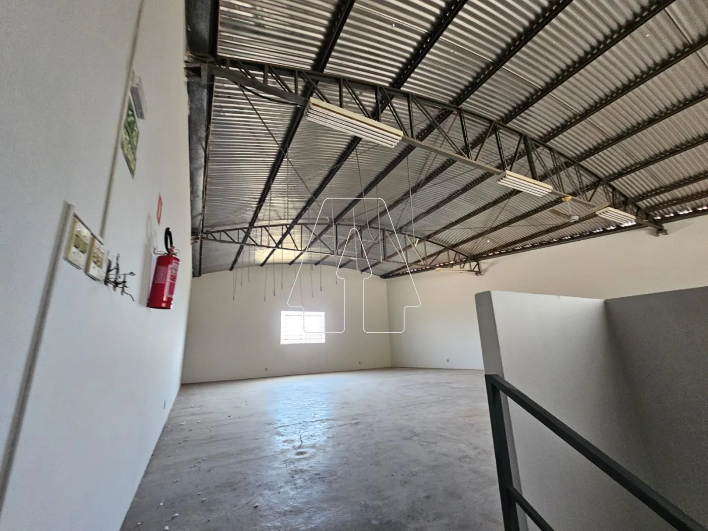 Alugar Comercial / Galpão em Araçatuba R$ 9.000,00 - Foto 1