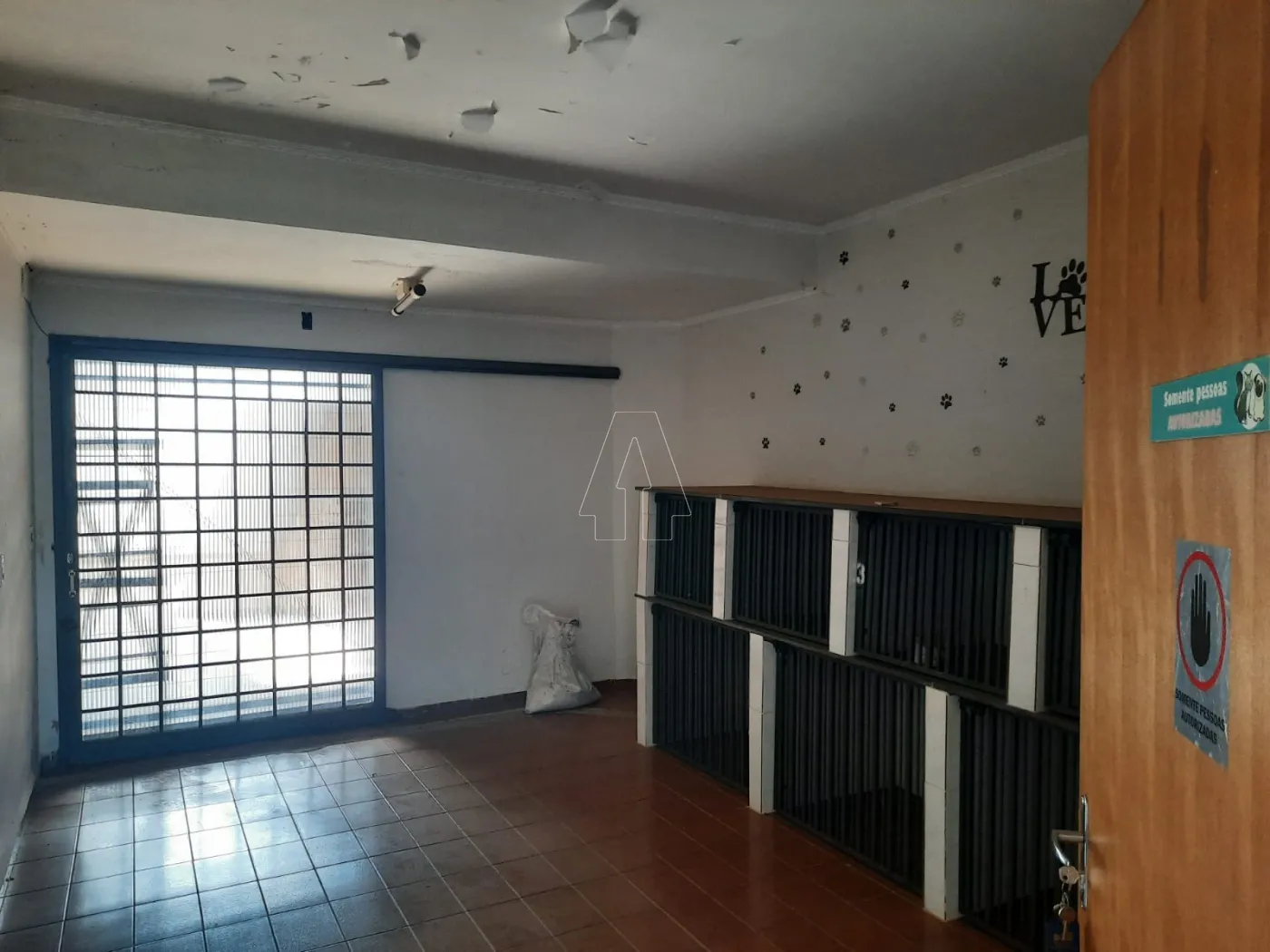 Alugar Comercial / Ponto Comercial em Araçatuba R$ 3.000,00 - Foto 3