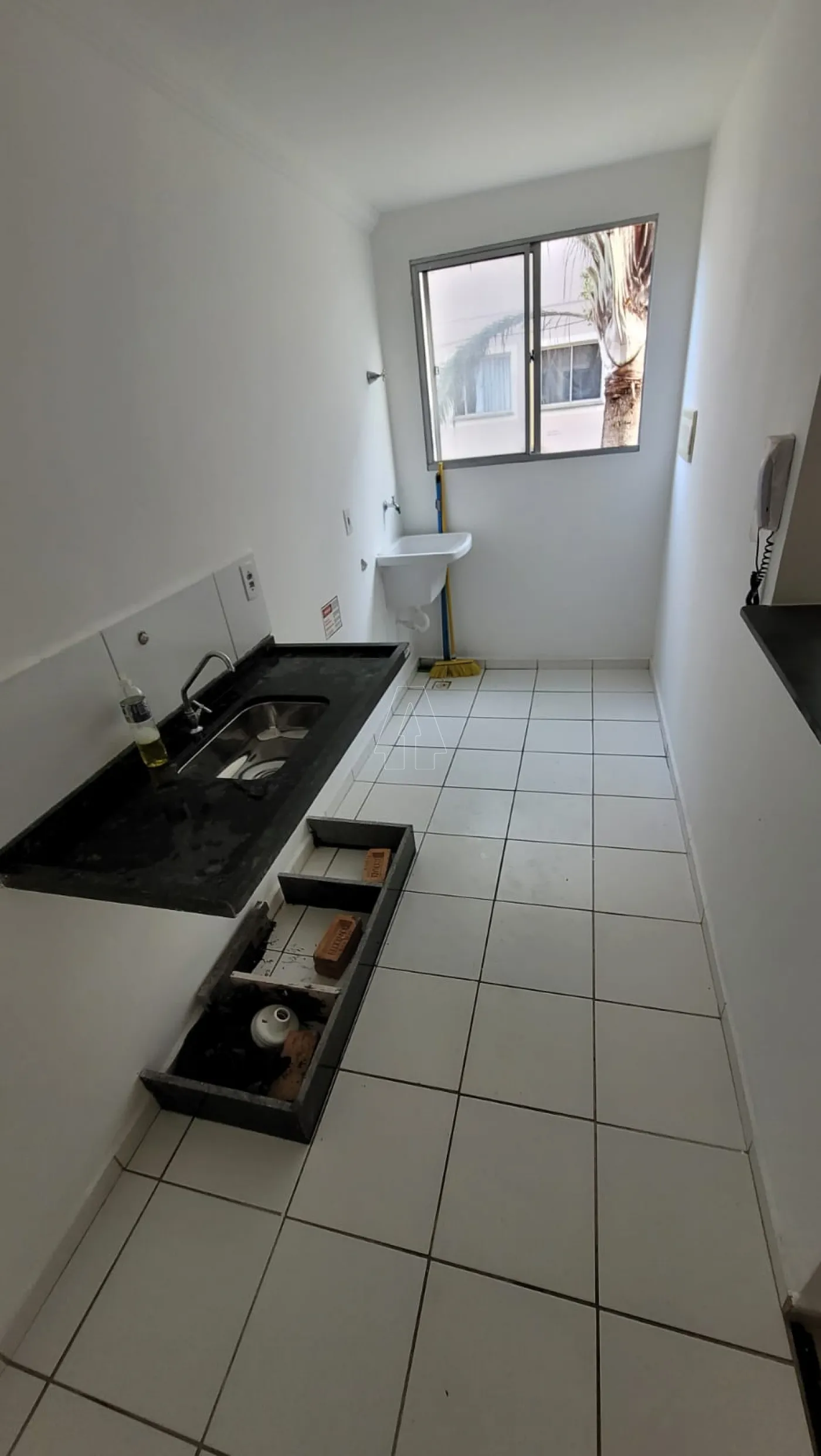 Alugar Apartamento / Padrão em Araçatuba R$ 1.100,00 - Foto 1