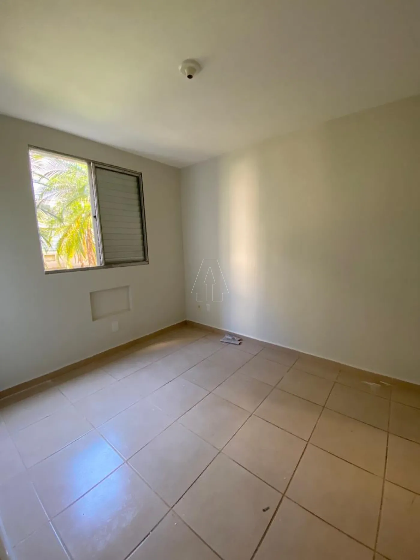 Alugar Apartamento / Padrão em Araçatuba R$ 1.100,00 - Foto 3