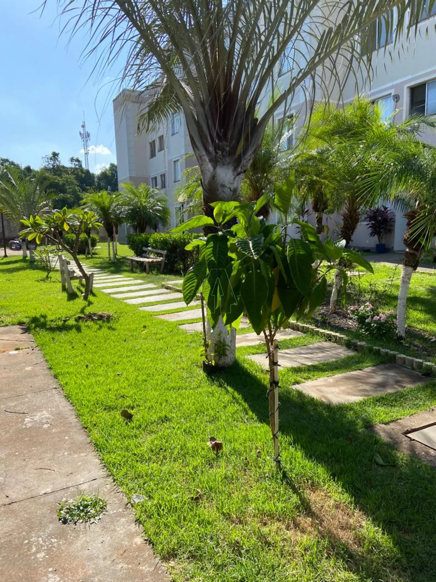 Alugar Apartamento / Padrão em Araçatuba R$ 1.100,00 - Foto 7