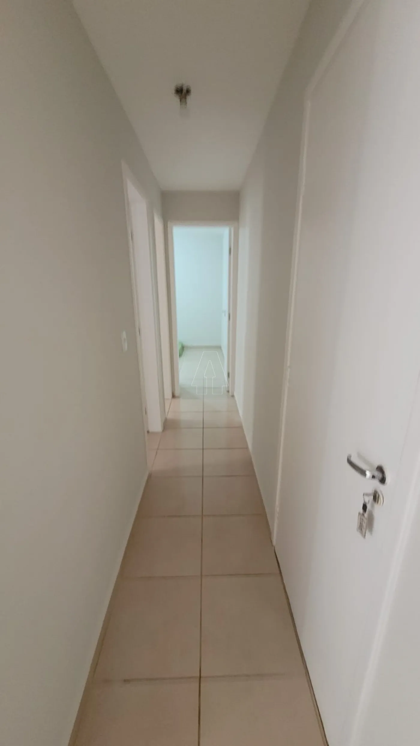 Alugar Apartamento / Padrão em Araçatuba R$ 1.100,00 - Foto 5