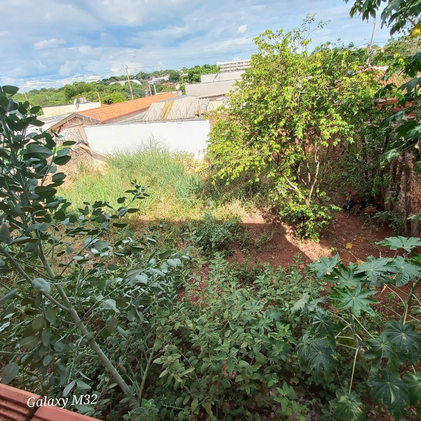 Comprar Casa / Residencial em Araçatuba R$ 250.000,00 - Foto 13