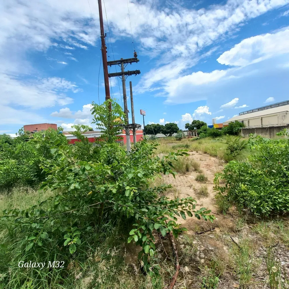 Comprar Terreno / Área em Araçatuba R$ 11.000.000,00 - Foto 6