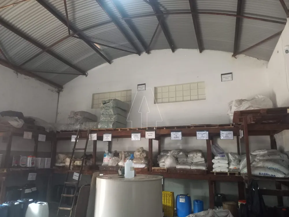 Comprar Comercial / Galpão em Araçatuba R$ 350.000,00 - Foto 5