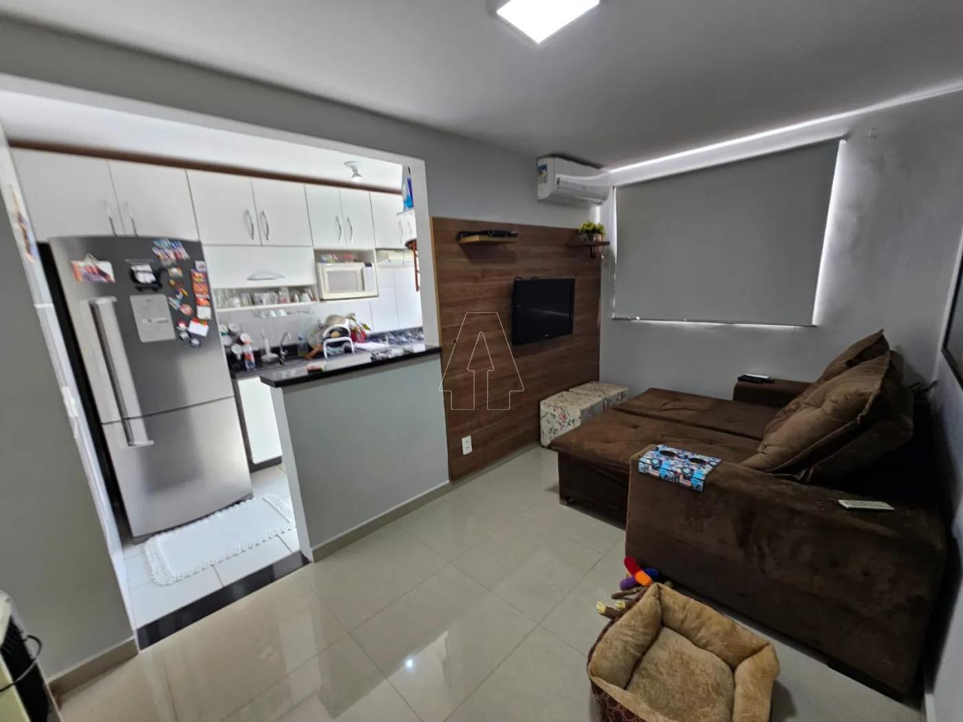 Alugar Apartamento / Padrão em Araçatuba R$ 1.700,00 - Foto 3