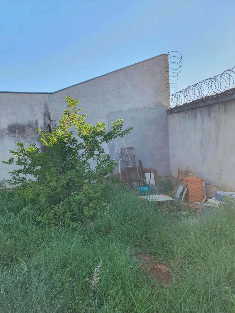 Comprar Terreno / Padrão em Araçatuba R$ 150.000,00 - Foto 1